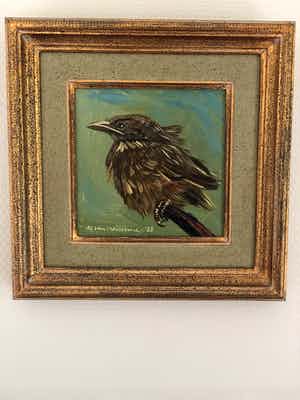 Alfons Van Meirvenne - Vogel verkocht voor € 300!