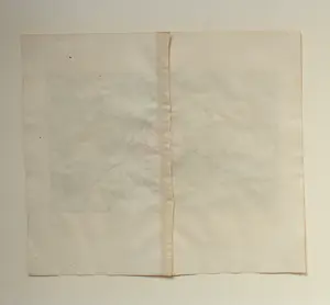 Caspar Merian - Hulst Oude Gravure Handgekleurd 1659 kopen? Bied vanaf 25!