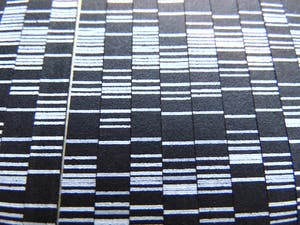 Steven van der Kruit - TV I. kopen? Bied vanaf 75!