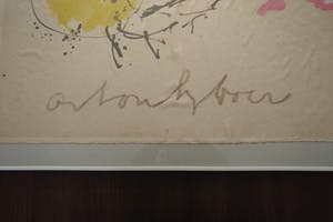 Anton Heyboer - Twee kippen in gevecht kopen? Bied vanaf 250!