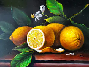 Buy Alfonso Moreno - Citroenen? Bid from 145!