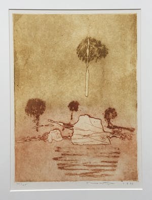 Jan Montyn - kleurenets II - 1996 - oplage 25 - ingelijst kopen? Bied vanaf 135!