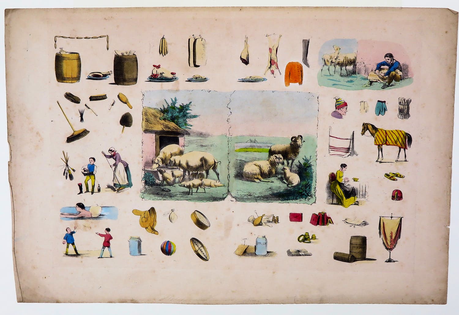 Niet of onleesbaar gesigneerd - Litho, Schoolplaat "Het nut van het varken en het schaap" kopen? Bied vanaf 1!