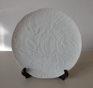 Niet of onleesbaar gesigneerd - Biscuit Porseleinen sierbord met relief afbeelding bladeren - Tirschenreuth kopen? Bied vanaf 1!
