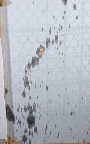 Bert Vredegoor - Sproeidruk op fluweel, Pleasure dome (Zeer groot) kopen? Bied vanaf 1!