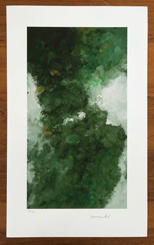 Armando - Kleurrijke Giclée - Waldig - 2018 - 23/25 - Gesigneerd kopen? Bied vanaf 115!