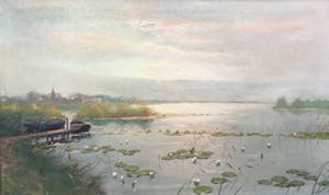 Toon Verplak - C4207 - Plasgezicht met waterlelies kopen? Bied vanaf 100!