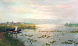 Toon Verplak - C4207 - Plasgezicht met waterlelies verkocht voor € 100!