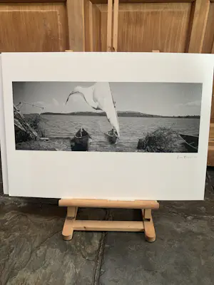 Lieve Blancquaert - Zonder titel kopen? Bied vanaf 25!