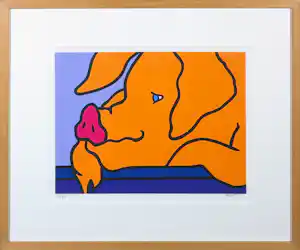 Shunyam - Zeefdruk, Dreaming - Ingelijst verkauft für € 35!