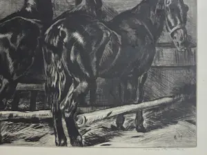 Kuno Brinks - Zwarte paarden. Eigen druk. kopen? Bied vanaf 89!