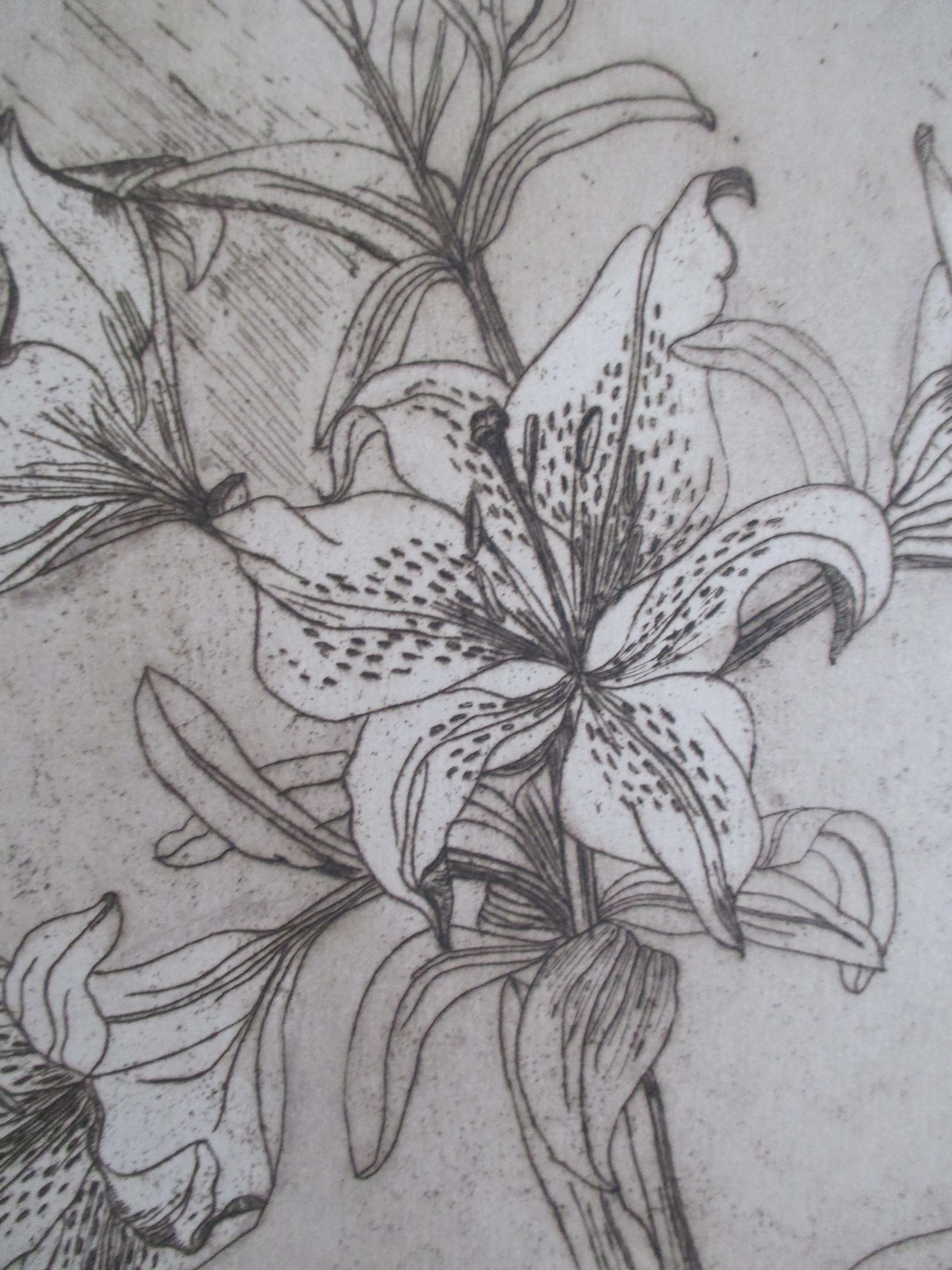 Niet of onleesbaar gesigneerd - Ets bloem kopen? Bied vanaf 1!