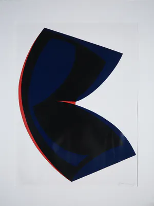 Franck Gribling - Zeefdruk, Le nouveau né de l'espace kopen? Bied vanaf 1!