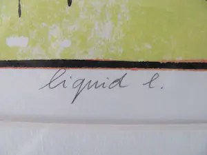 Leon Janssen - liquid 1 kopen? Bied vanaf 100!