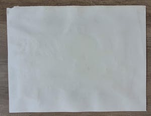 Herman Brood - Who's the boss - zeefdruk - gesigneerd - 250 ex. kopen? Bied vanaf 1!