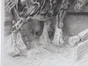 Kuno Brinks - Paard in de stal - Gravure kopen? Bied vanaf 100!