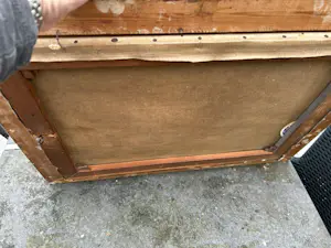 Onbekend - boom in bos kopen? Bied vanaf 50!