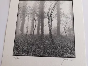 Ralph Janowski - zonder titel kopen? Bied vanaf 25!