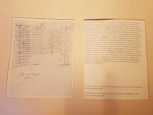 Harry van Kruiningen - Gekken kijken als kermisattractie kopen? Bied vanaf 50!