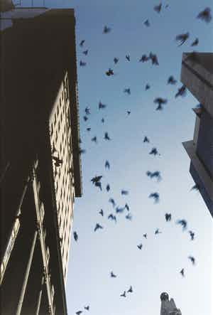 Arthur Martin - Pigeons in the sky / NYC '88 verkocht voor € 50!