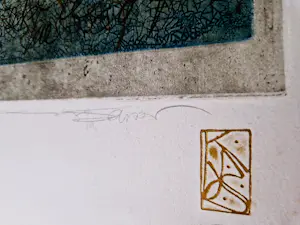 Marion Bloem - Grote Ets & Aquatint - le livre de Jade V - zeer kleine oplage (24) gesigneerd kopen? Bied vanaf 42!