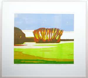 Frank Dekkers - Houtsdruk, Voorjaar - Ingelijst verkocht voor € 70!