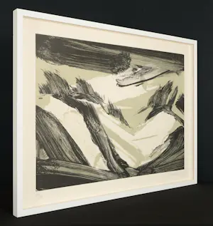 Robert Zandvliet - Exklusives Set : Signierte Litho (gerahmt) & Signiertes Buch kopen? Bied vanaf 890!