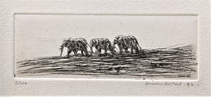 Simon Koene - Drie olifanten in vlakte kopen? Bied vanaf 20!