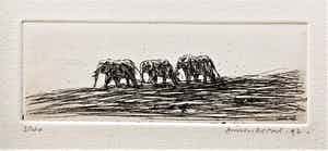 Simon Koene - Drie olifanten in vlakte verkocht voor € 20!