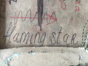 Jolanda van Gennip - Flaming Star kopen? Bied vanaf 1250!