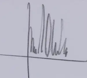 Ton Schulten - Zeefdruk, Herfst - Ingelijst kopen? Bied vanaf 400!