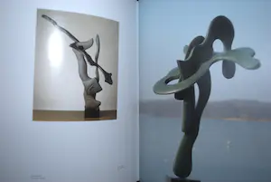 Eja Siepman van den Berg - 3x: o.a. Gesign. boek (fotogr. A. Etoundi Essamba) & Gesign. boek Jan Verschoor kopen? Bied vanaf 50!