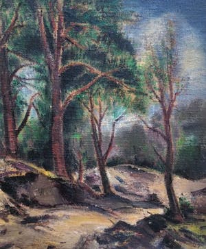 Arnout Colnot - Bosgezicht kopen? Bied vanaf 340!