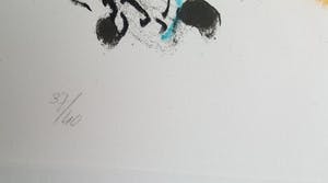 Henk Vierveijzer - zeefdruk met beperkte oplage kopen? Bied vanaf 25!