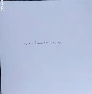 Luuk Huiskes - gezicht op de Dom Utrecht kopen? Bied vanaf 25!