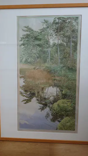 Siemen Dijkstra - Zomerbos kopen? Bied vanaf 1500!