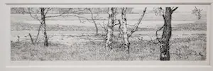 Reinder Homan - Landschap met bomen kaufen? Bieten Sie von 40!