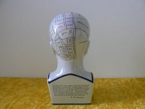 Curiosa - Phrenology head by L.N.Fowler - Met Kleur kopen? Bied vanaf 60!