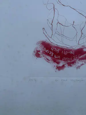 Ansuya Blom - Das Pferd von Kaspar kopen? Bied vanaf 20!