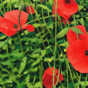 Willem Visser - Klaprozen 3 kopen? Bied vanaf 140!