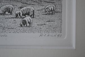 Rob C. Kila - Ets - Schapenboet Texel - 1993 - Gesigneerd kopen? Bied vanaf 1!