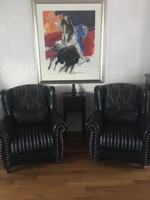 Jan Peter van Opheusden - Toreador kopen? Bied vanaf 1950!