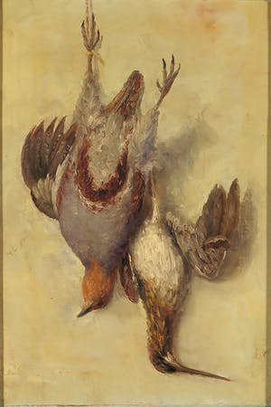 Roelof Wildeboer - Olieverf op doek, Stilleven met vogels - Ingelijst kopen? Bied vanaf 80!