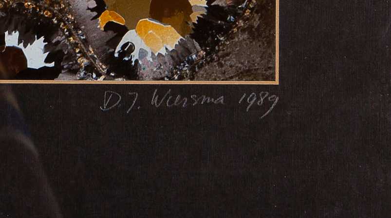 Dirk J. Wiersma - Ammoniet, ed. 6/50, 1989 - fotoprint op papier kopen? Bied vanaf 10!