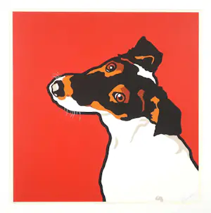 Shunyam - Zeefdruk, Take me home - Ingelijst kopen? Bied vanaf 100!