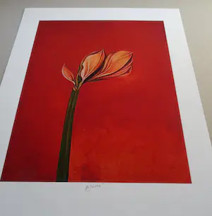 Bruno Bruni - " Amarillis " - kleurengiclee - handgesigneerd kopen? Bied vanaf 59!