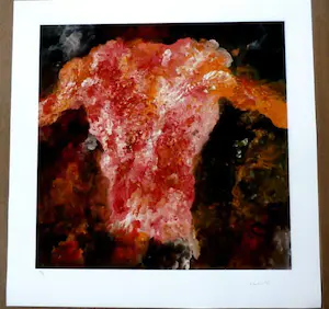 Buy Armando - giclee: Körperlich? Bid from 159!