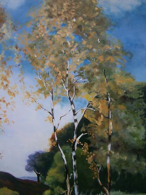 Niet of onleesbaar gesigneerd - Berken aan het water Joop de Graaf(1983-1911) kopen? Bied vanaf 1!