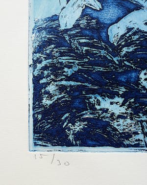 Jan Montyn - Dolfijnen, aquatint ets kopen? Bied vanaf 1!