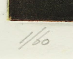 Marcel Schellekens - Aquatint ets, Gele Koi-karper - Ingelijst kopen? Bied vanaf 100!